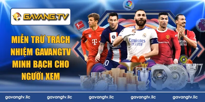miễn trừ trách nhiệm
